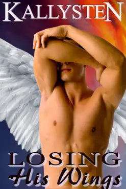 losing his wings book cover image