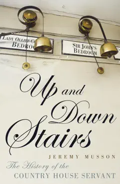 up and down stairs imagen de la portada del libro