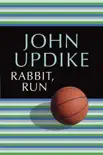 Rabbit, Run synopsis, comments