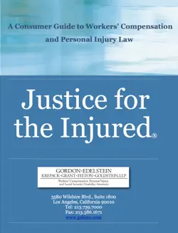 justice for the injured book cover image