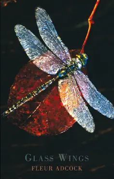 glass wings book cover image