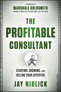 the profitable consultant book cover image