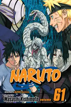 naruto, vol. 61 book cover image