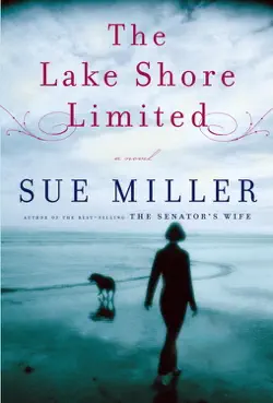 the lake shore limited book cover image