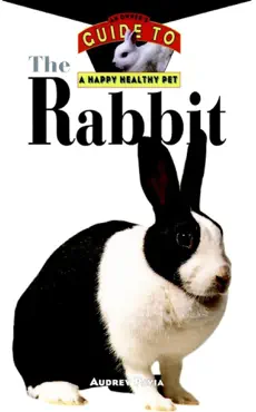 the rabbit book cover image