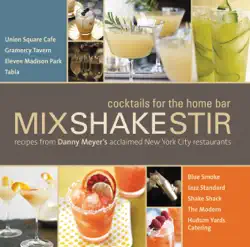 mix shake stir book cover image