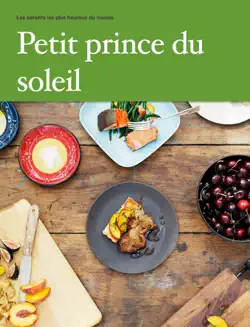 petit prince du soleil book cover image