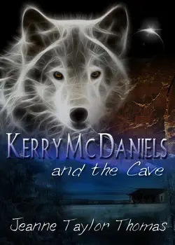 kerry mcdaniels and the cave book cover image