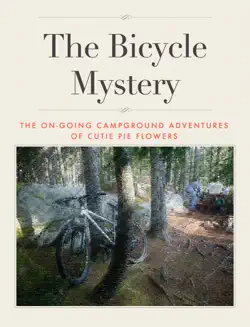 the bicycle mystery book cover image