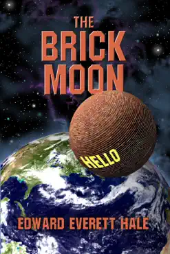 the brick moon book cover image