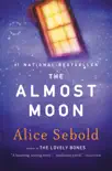 The Almost Moon synopsis, comments