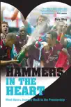Hammers in the Heart synopsis, comments