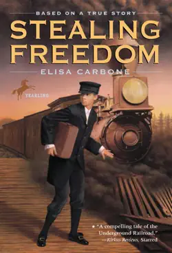 stealing freedom book cover image