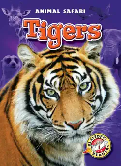 tigers book cover image