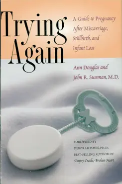 trying again book cover image