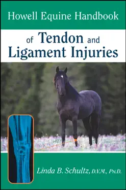 howell equine handbook of tendon and ligament injuries book cover image