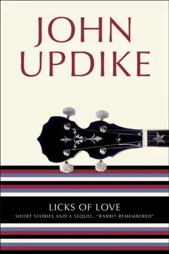 licks of love book cover image