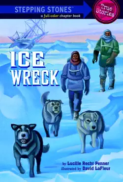 ice wreck book cover image