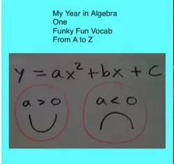 my year in algebra one book cover image
