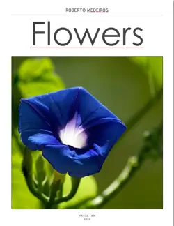 flores imagen de la portada del libro