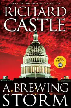 a brewing storm book cover image