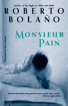 monsieur pain book cover image