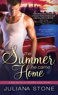 the summer he came home book cover image
