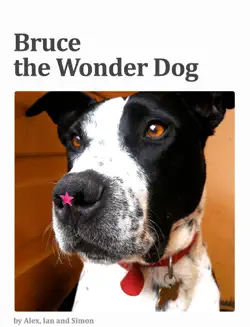 bruce the wonder dog book cover image