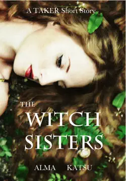 the witch sisters book cover image