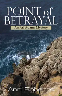 point of betrayal book cover image