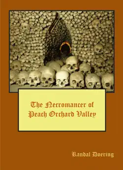 the necromancer of peach orchard valley book cover image