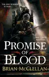 Promise of Blood sinopsis y comentarios