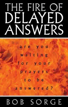 fire of delayed answers book cover image