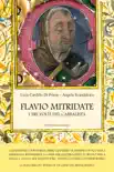 Flavio Mitridate synopsis, comments