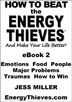 how to beat the energy thieves and make your life better - ebook2 book cover image