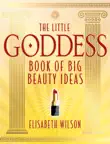 Little Goddess Book of Big Beauty Ideas sinopsis y comentarios