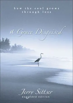 a grace disguised book cover image