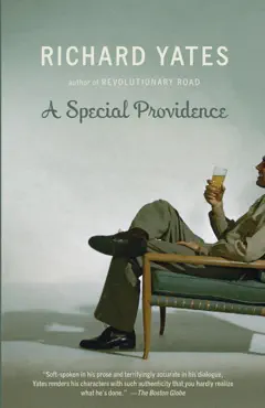 a special providence book cover image