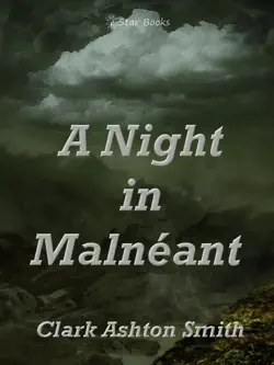 a night in malnéant book cover image