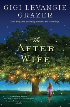 the after wife book cover image