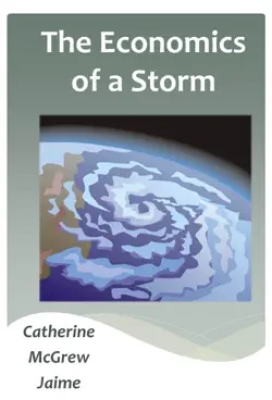 the economics of a storm imagen de la portada del libro