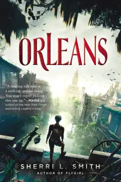 orleans book cover image