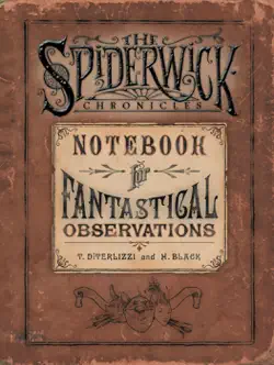 notebook for fantastical observations book cover image