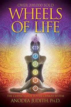wheels of life book cover image