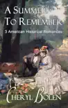 A Summer to Remember synopsis, comments