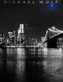 a moon light walk book cover image