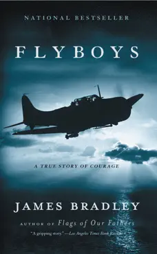 flyboys book cover image