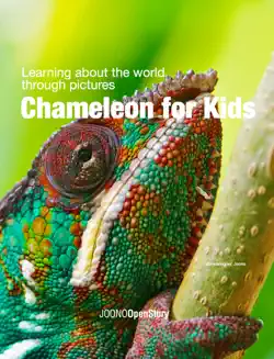 chameleon for kids book cover image