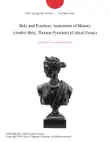 Bely and Pynchon: Anatomists of History (Andrei Bely, Thomas Pynchon) (Critical Essay) sinopsis y comentarios
