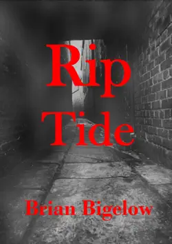 rip tide book cover image